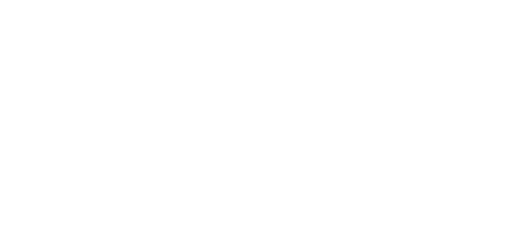 No Limit Animations - Logo Blanc